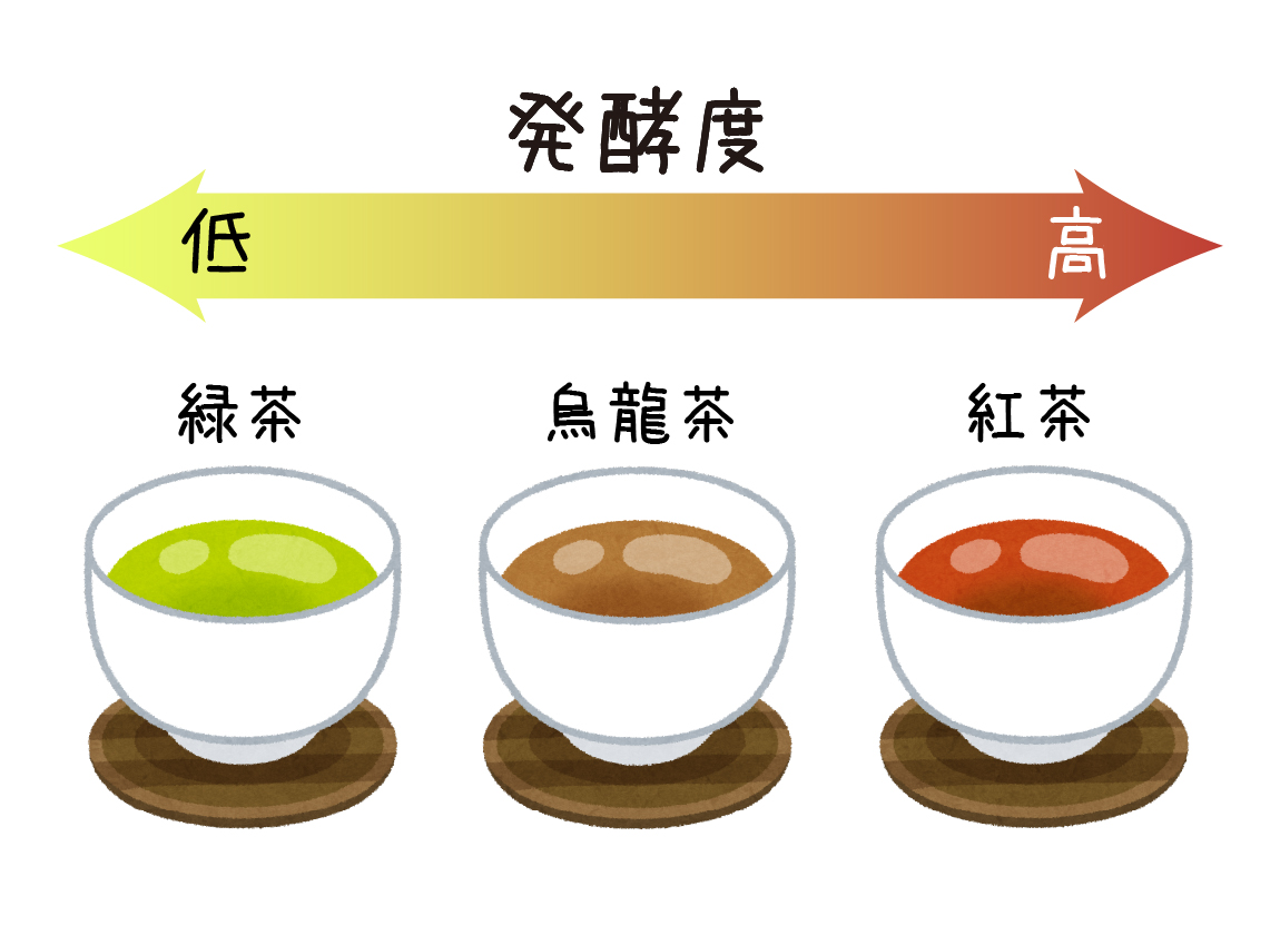 発酵とお茶の種類の図