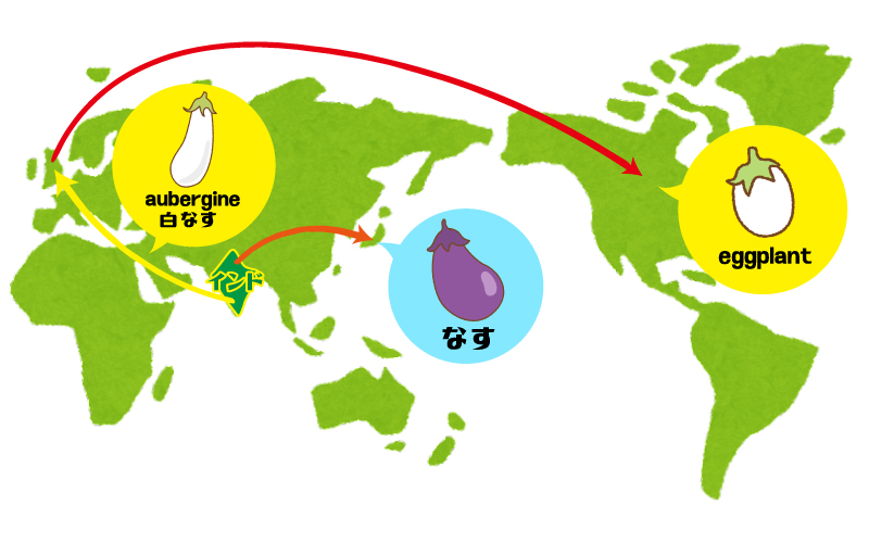 世界地図と経路＆茄子の色の違いイラスト